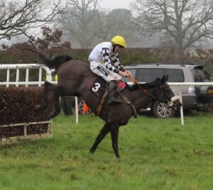 Cousin Pascal, a winner at Chaddesley's Harkaway fixture in preparation for the 2021 Aintree Foxhunter Photo: Pete Mansell